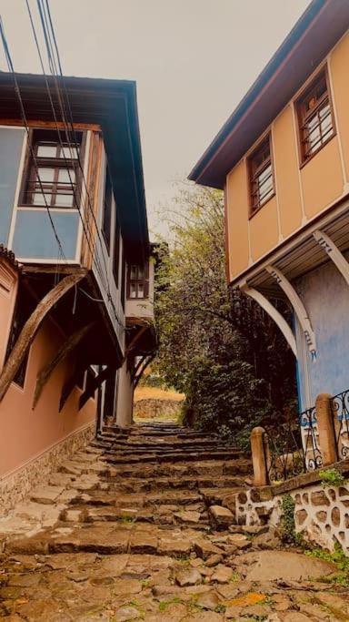 Elephant House Plovdiv Buitenkant foto